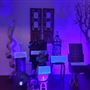 Los Angeles Museum of Love
