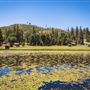 Camp Tawonga