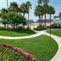 Jamaica Bay Inn Marina Del Rey