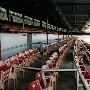 Earl Warren Showgrounds - 19th DAA