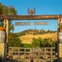 Oreana Winery & Vineyard - Fisco
