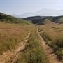 Bracaccini Ranch Property - 50 acres open field / Ranch House / Barns