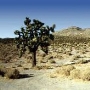 El Mirage Dry Lake - Bureau of Land Management - BLM