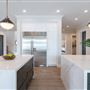 Open Modern Farmhouse
