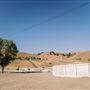 Willow + Wolf Ranch
