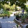 University of Redlands