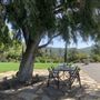 Enchanted Elfin Forest Home  on 2 private acres