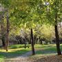 Samuel Ayer Park