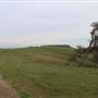 Bobcat Trail