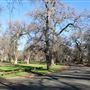 Cone Grove Park