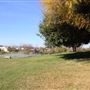 Diamond Park Skate Park