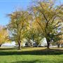 John R Trainor Park