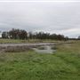 Payne's Creek Wetlands