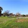 Ridgeway Park