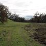 Sacramento River Bend