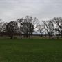 Sacramento River Bend