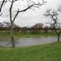 Sacramento River Bend
