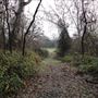 Battle Creek Wildlife Area - California Department of Fish & Wildlife (CDFW)