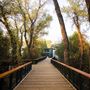 Turtle Bay Exploration Park