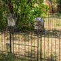 Ono Cemetery