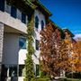 Simpson University