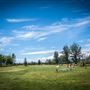 Grape Ranch Golf Club