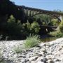 Dog Creek Bridge - Highway 5