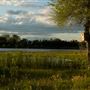 Mary Lake Park