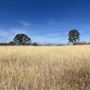 Field to Fork Farm