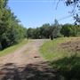 Black Swan Trail