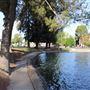 Ellis Lake