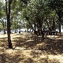 Folsom Lake State Recreation Area (SRA)