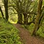 Azalea State Natural Reserve (SNR)