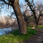 Bidwell-Sacramento River State Park (SP)