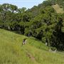 Hollister Hills State Vehicular Recreation Area (SVRA)