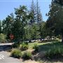 Arden Oaks