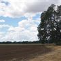 Various Rural Farms And Ranches
