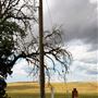 Various Rural Farms And Ranches
