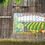 Various Rural Farms And Ranches