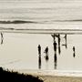 Moonlight State Beach (SB) - permitted by the city of Encinitas