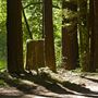 Navarro River Redwoods State Park (SP)