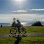 Robert W. Crown Memorial State Beach (SB) - East Bay Regional Park District