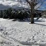 Red Skelton ranch