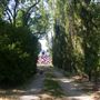 Hollyhock Country Ranch