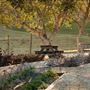 Carmel Valley Ranch Hotel