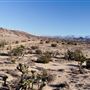 Carr Canyon Ranch