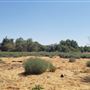 60 acres of vacant raw land - Perris CA