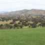 Rancho San Fernando Rey