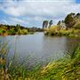 Laguna Niguel Regional Park