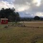 Red Thorne Ranch / The Barn Loft / Mini Petting Zoo
